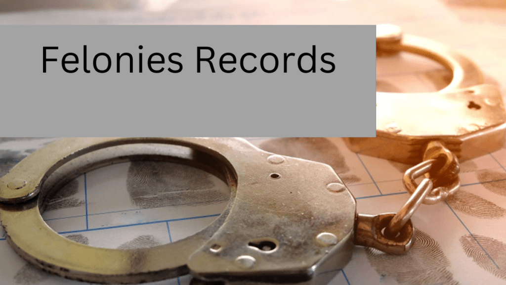 Felonies Records Search – Find Criminal Background Details